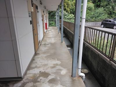 通路脇の外構部分　かなり黒ずんでいます