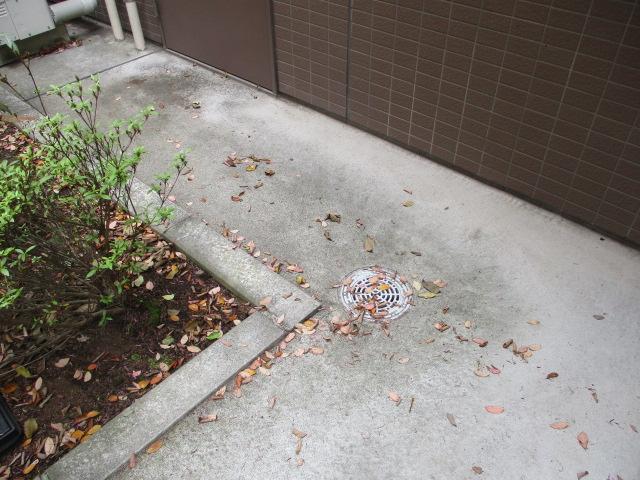 駐輪場付近は先日の強風の影響で落ち葉でいっぱいでした。